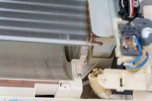 Wall-mounted Air Conditioner Disassembly Cleaning (Dirt Deep Inside After Removing the Blower Fan)