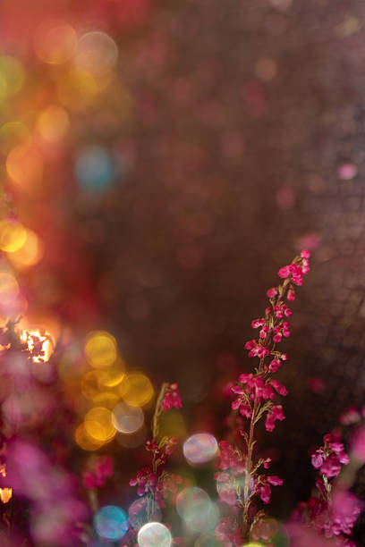 A beautiful pink Christmas background decorated with sparkles and shiny lights.