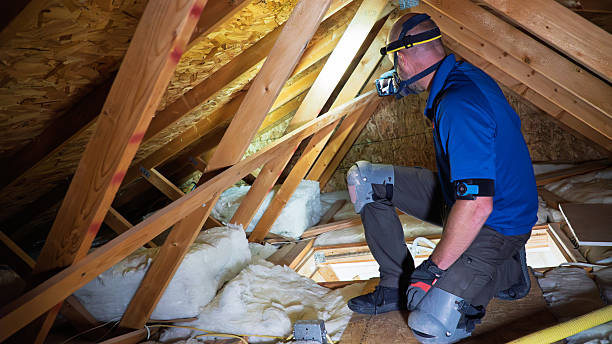 Inspection Documentation A certified home inspector kneels inside a finished attic of a residential property for sale, using a smartphone flashlight to document insulation coverage and truss conditions. Equipped with protective gear — respirator, gloves, knee pads, and headlamp — he records findings that ensure transparency and confidence in the home’s condition.The composition highlights methodical follow-through and the attention to detail that characterizes a professional property inspection. The wooden beams and bright insulation create a strong sense of craftsmanship and reliability, while the inspector’s posture suggests thorough documentation and integrity in every step of the process. Attic Insulation stock pictures, royalty-free photos & images