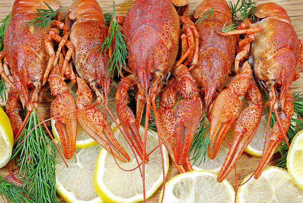 Plate with boiled crayfishes on rustic wooden table