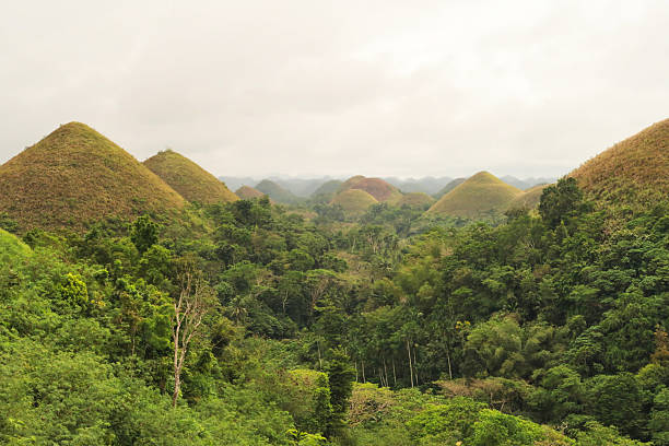 istock Dense tropical forest, rainforest is growing between the Chocolate Hills, Bohol Island, Philippines 2249579187