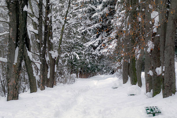 Winter scenery in public city park