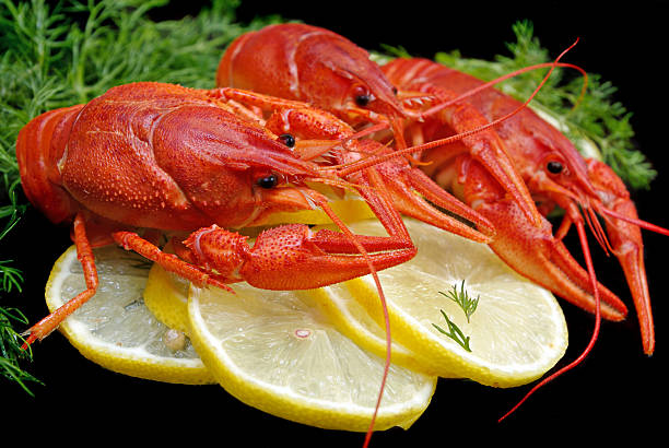 crayfish and lemons on a black. close up