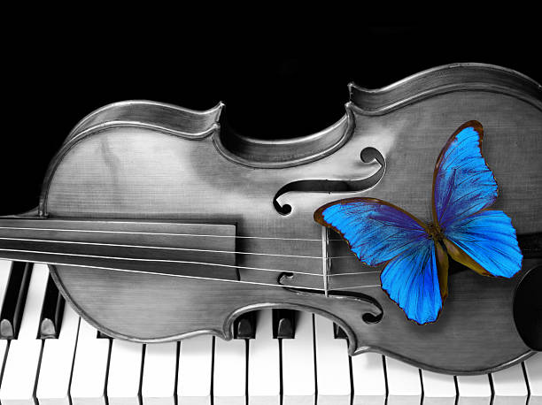 istock Butterfly morpho, violin and piano. close up. 2249580926