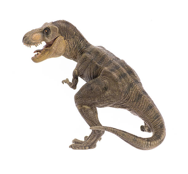 Dinosaur toy, Tyrannosaurus rex isolated on white background
