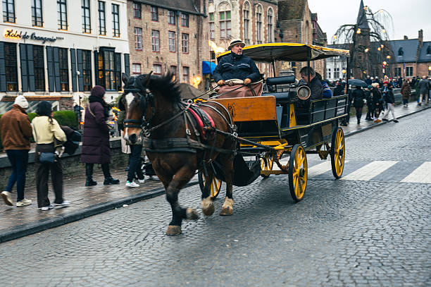 Bruges, Belgium - November 29, 2025: A classic horse-drawn carriage travels through the charming streets of Bruges, highlighting the city's historic ambiance and fairytale atmosphere.