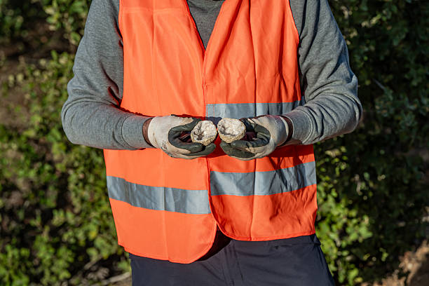 istock Geologist in a quarry, searching for minerals, showing a crystal geode, open-pit mining. Mineral search with tools, hammer... a precious mineral piece. 2249590613