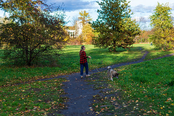 Krakow, Poland – October 23, 2025: A woman walks her dog along a narrow path surrounded by autumn trees and fallen leaves. Soft light highlights the colorful foliage and peaceful atmosphere of the open grassy park landscape.