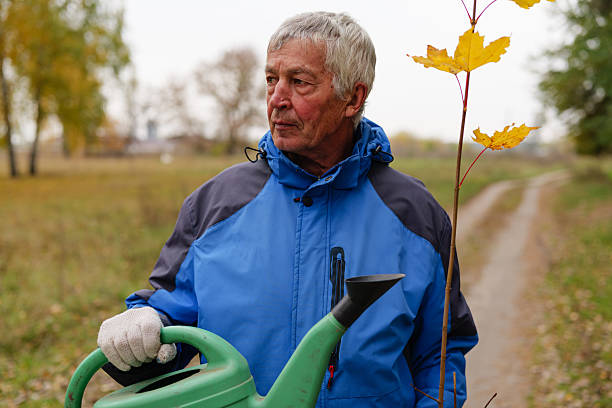 Older man in a blue jacket holds a watering can while tending to a young tree along a dirt path on a cool autumn day in a park setting.
