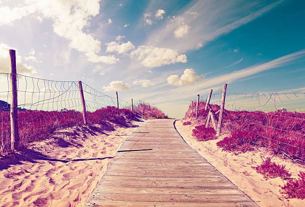 Path of wooden slats towards the beach. Vivid grass and vegetation. Dreamscape in coastline background