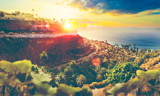 istock Beautiful beach and sea in Spain.Palm tree and landscape 2249599242