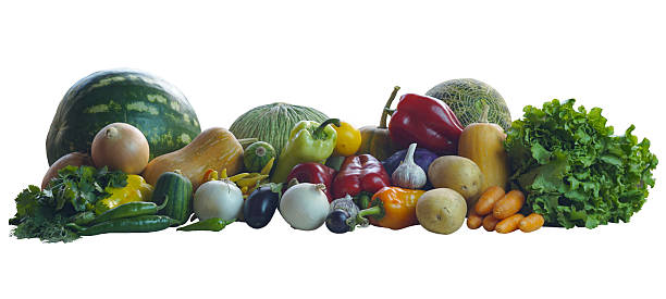 Melons, watermelons and various vegetables on a white background