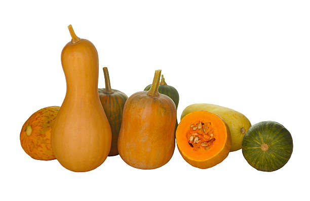 istock There are some kind of pumpkins. 2249600090