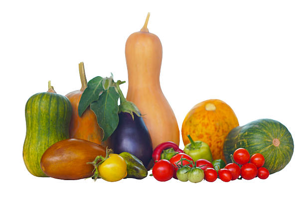 On a white background are zucchini, tomatoes and other vegetables.