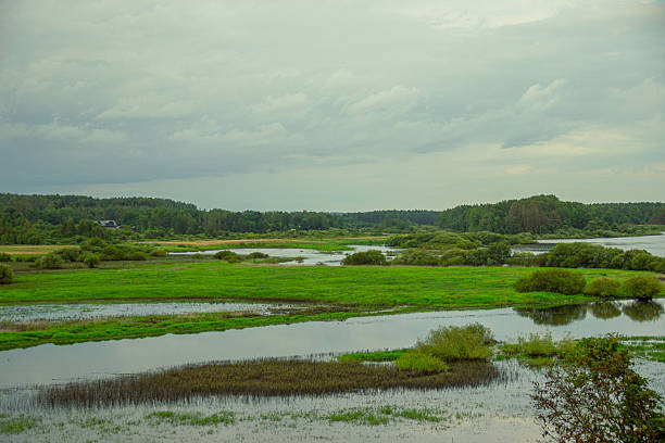 WideA scenic view of a wide river with surrounding wetlands and grassy fields under a cloudy summer sky. The natural landscape reflects tranquility and environmental diversity. Ideal for themes related to ecology, water resources, nature travel, countryside wildlife, and environmental conservation River Wetlands Landscape in Summer Countryside. High quality photo