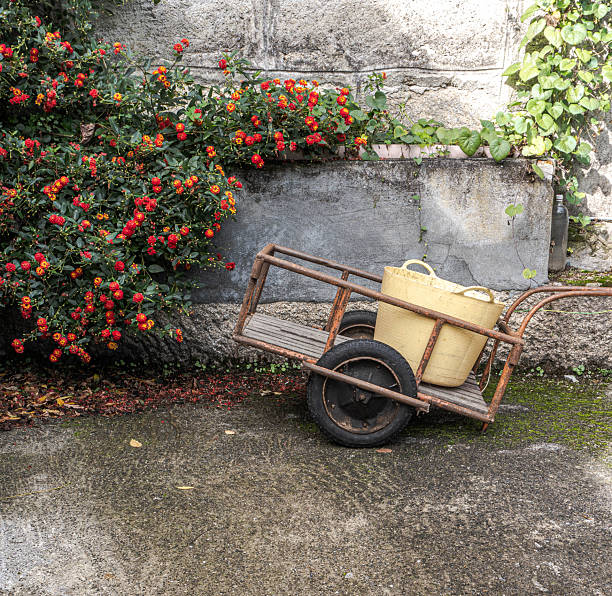 istock Antique wheelbarrow with bucket 2249607313