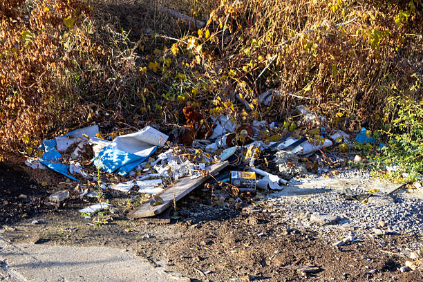 istock Garbage and debris clutter a roadside location, partially hidden by overgrown plants under bright sunlight during the day 2249607506