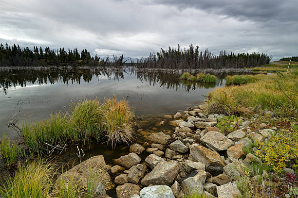 A lake in Kluane National Park, Yukon, Canada