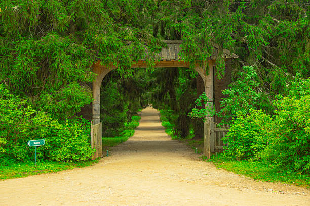 A shady park path surrounded by tall evergreen trees and lush greenery forming a natural tunnel. The tranquil summer environment creates a relaxing atmosphere, perfect for themes related to wellness, outdoor recreation, eco-tourism, nature walks, and landscape backgrounds