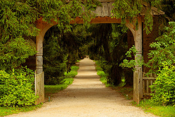 A peaceful garden path leading through a wooden arch surrounded by dense green trees and foliage in a summer park. The scene evokes tranquility, nature sanctuary, and outdoor recreation. Ideal for wellness themes, nature backgrounds, travel, eco-tourism, and landscape design concepts