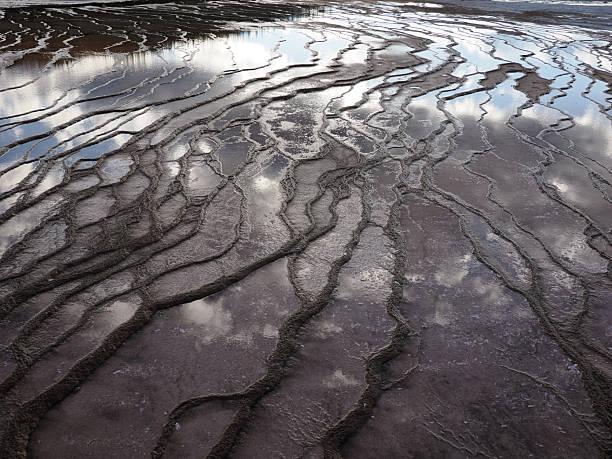istock Intricate Texture of Orange Bacterial Mats and Water Channels 2249609498
