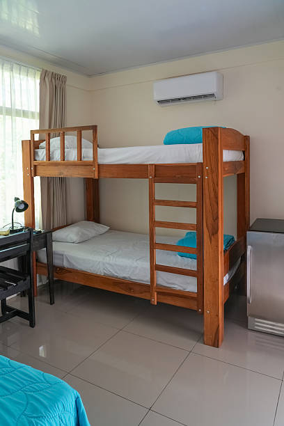 istock wooden bunk bed in hotel 2249619696