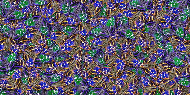 Natural pattern for design. Abstract blue and green pattern of bright butterflies. Colorful butterfly ornament. Purple emperor butterfly (Apatura iris)