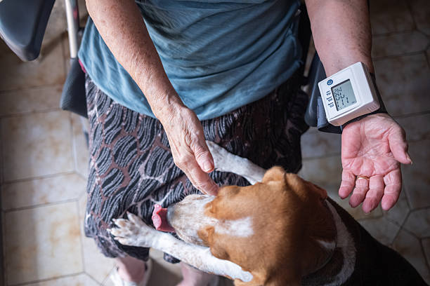 istock unrecognizable Senior woman checking blood pressure with loyal dog 2249622043