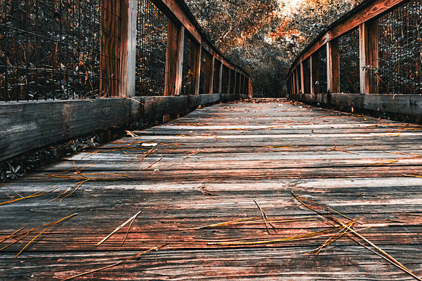 A low-angle, close-up view of a rustic wooden boardwalk stretches into the dark, overgrown autumn woods. Pine needles and debris scatter the path, emphasizing the weathered texture and creating a moody, evocative atmosphere of a solitary journey.