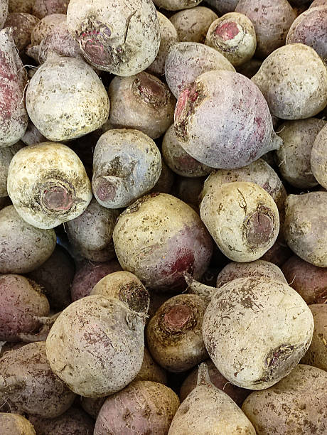 Red beetroot, close-up, on the counter in the store.