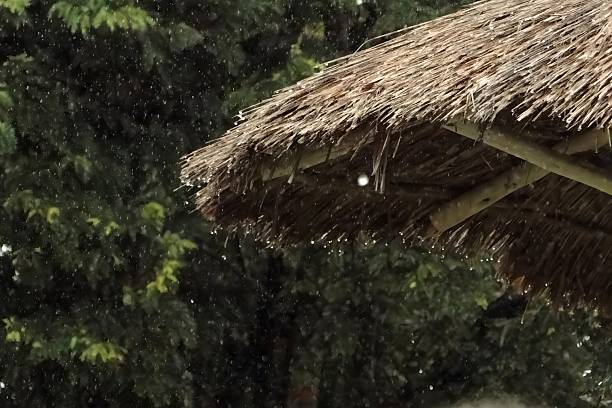 istock raining on a straw hut with trees in the background, droplets 2249633257