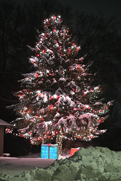 istock Big Outdoor Christmas Tree 2249633379
