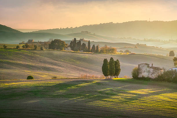 istock Misty Sunset over Santa Luce Hills with Cypress Trees, Tuscany 2249635494