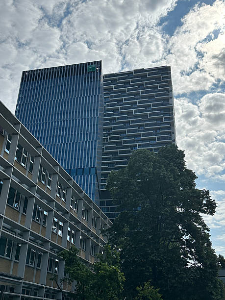 istock Modern city buildings in Frankfurt am Main 2249639016