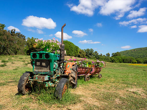 Tractor pulling trailer with crops harvested in agricultural field on a sunny afternoon