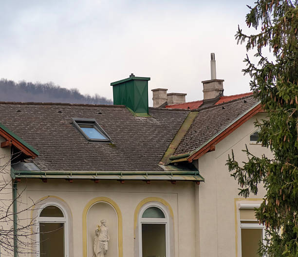 Roof complex of an old building with decorative elements, chimneys, and a green extension in an urban environment.