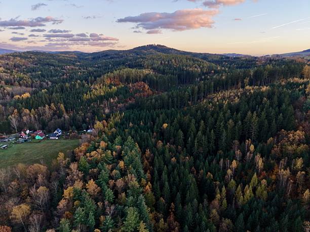 istock houses bordering open meadow at dusk, settlement adjacent to forest with evening sky backdrop 2249647376