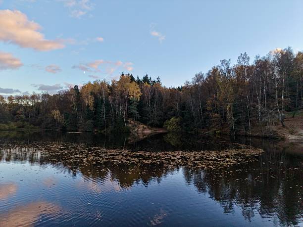 riverside clearing surrounded by autumn trees, quiet bank with still water reflecting canopy, secluded mood