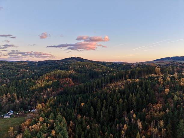 istock serene wooded hills at sunset, tranquil treed slopes bathed in soft sunset glow with clouds 2249649513