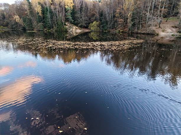 istock mirrorlike water surface, scattered clouds and overhanging trees reflected on rippling water surface 2249649986