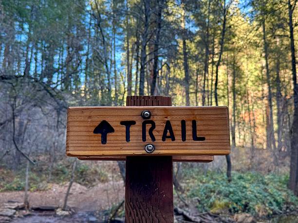 istock Wooden trail sign in beautiful forest 2249651550