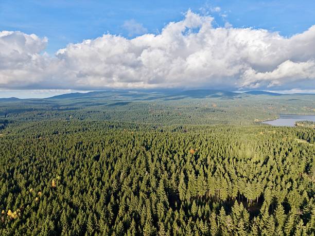 istock scenic forest overlooking remote lake, expansive woodland scene featuring distant lakes and cloudy skies 2249651673
