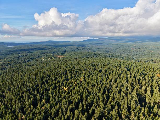 istock dramatic light plays on forest hills, vivid aerial perspective shows luminous clouds and dark shadows 2249652093
