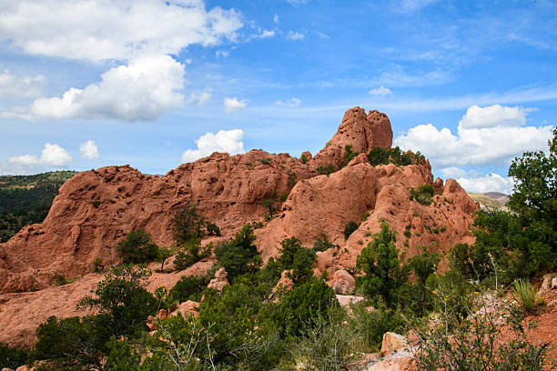 Scenic view in Colorado