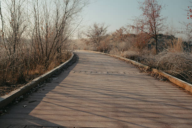 Wooden boardwalk winding through winter park landscape in Boise, Idaho, United States