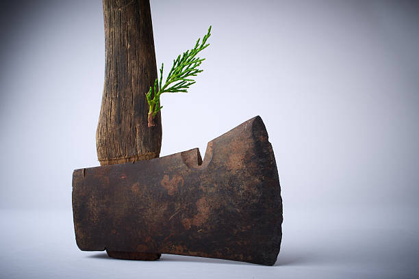 An axe is stuck in a log outdoors in the forest during winter with a sunset in the background.