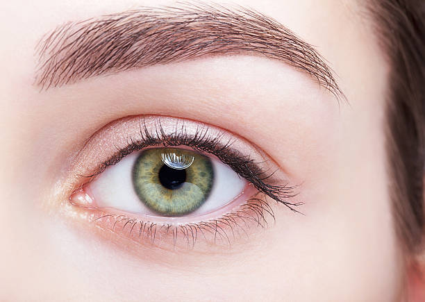 istock female eye zone and brows with day makeup 2249660016