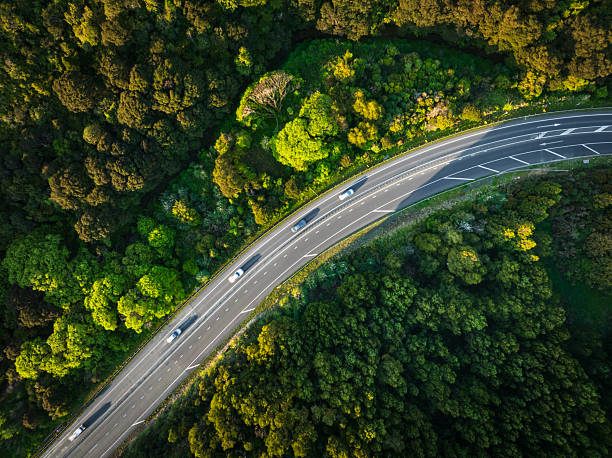 istock Scenic road through a lush forest with vehicles passing. 2249660453