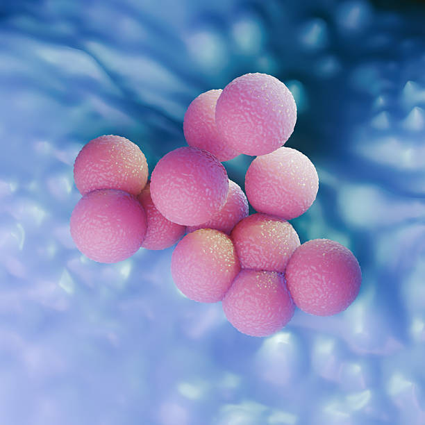 istock Blue Medical Background of MRSA Bacteria Cluster 3D Illustration 2249662532