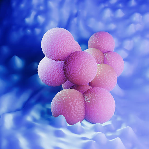 istock Blue Medical Background of MRSA Bacteria Cluster 3D Illustration 2249662594